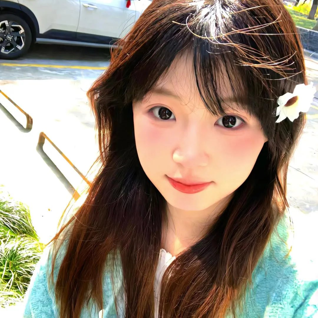 卿如野菊花